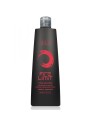 bes-color-reflection-fire-limit-shampoo-300ml