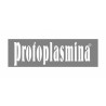 Protoplasmina